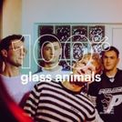 100% Glass Animals